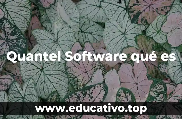 Quantel Software qué es