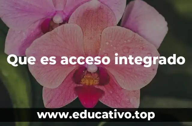 Que es acceso integrado