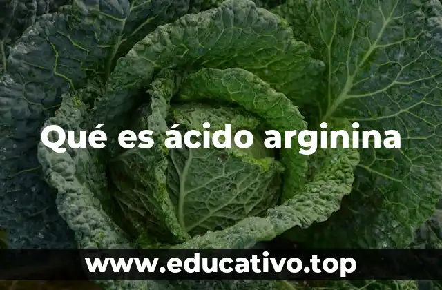Qué es ácido arginina