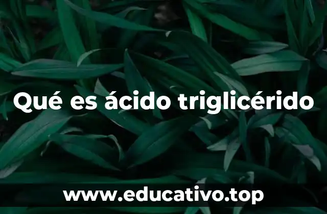 Qué es ácido triglicérido