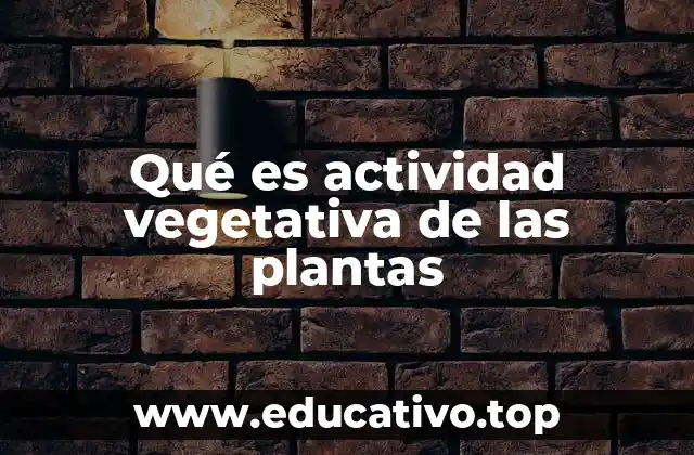 Qué es actividad vegetativa de las plantas