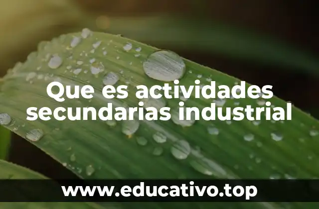 Que es actividades secundarias industrial