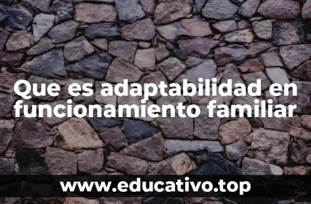 Que es adaptabilidad en funcionamiento familiar