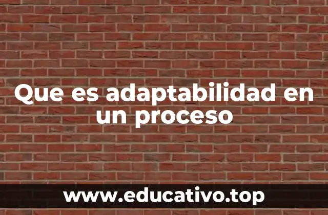 Que es adaptabilidad en un proceso
