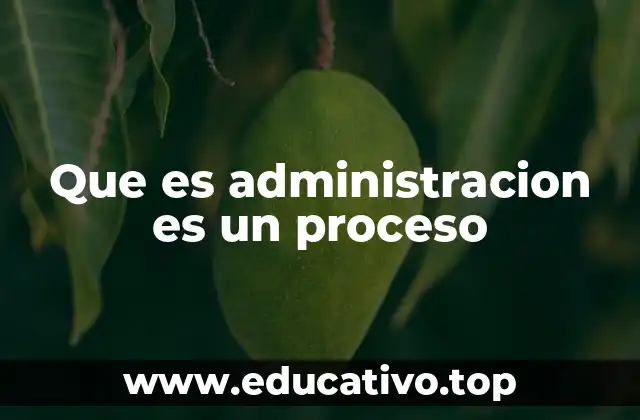 Que es administracion es un proceso