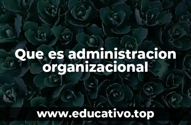 Que es administracion organizacional