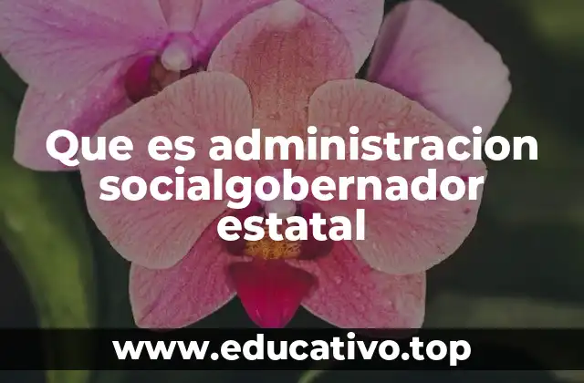 Que es administracion socialgobernador estatal