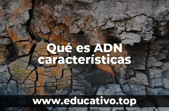 Qué es ADN características