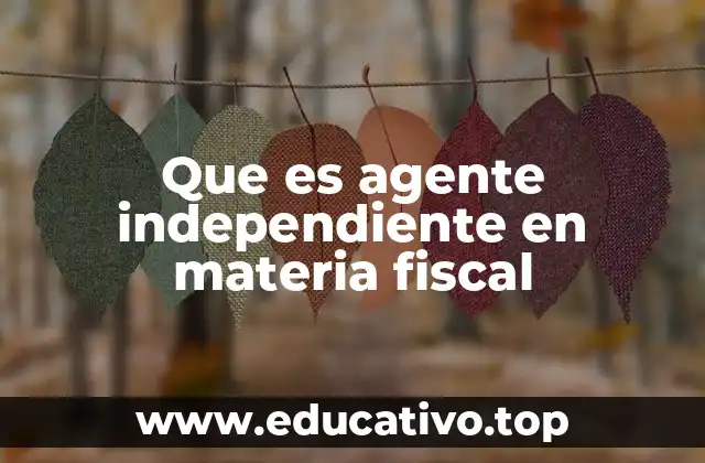 La importancia de los profesionales en asuntos tributarios