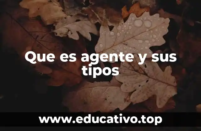 Que es agente y sus tipos
