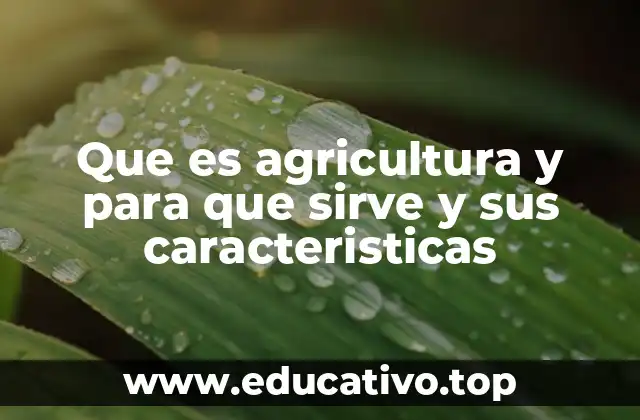 El rol de la agricultura en la economía y la sociedad