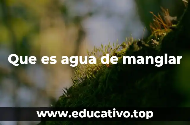 Que es agua de manglar