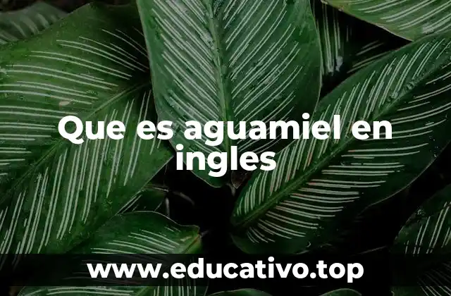 Que es aguamiel en ingles