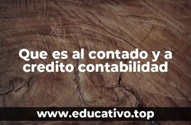 Que es al contado y a credito contabilidad