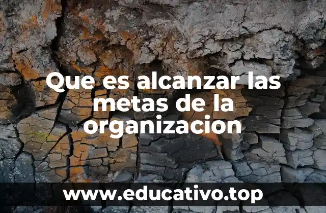 Que es alcanzar las metas de la organizacion
