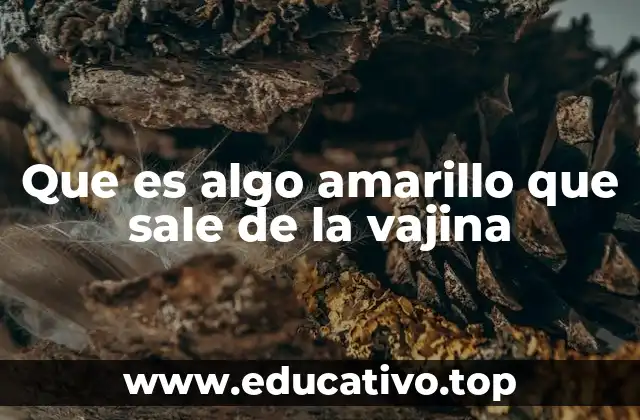 Que es algo amarillo que sale de la vajina