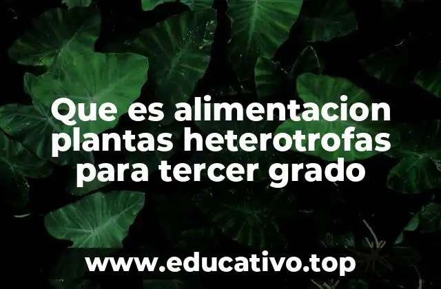 Que es alimentacion plantas heterotrofas para tercer grado