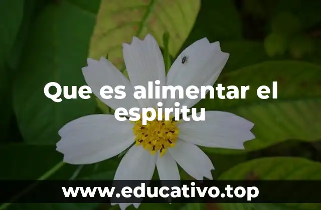 La importancia de cuidar la dimensión espiritual sin nombrarla