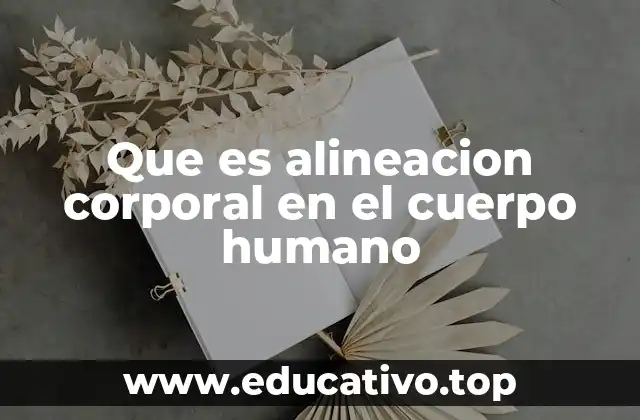 La importancia de la biomecánica en la postura humana
