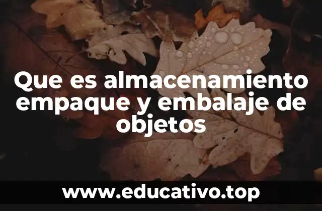 La importancia de organizar y proteger los objetos antes del envío