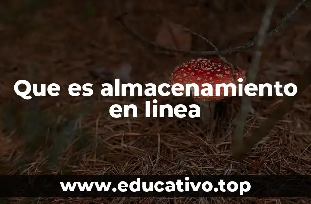 Que es almacenamiento en linea