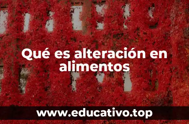 Causas principales de la alteración de los alimentos