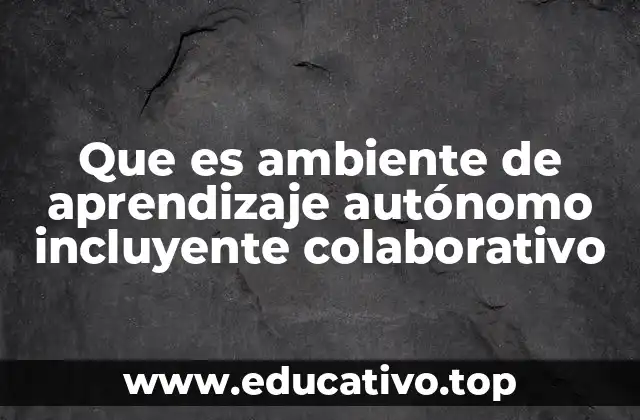 Que es ambiente de aprendizaje autónomo incluyente colaborativo