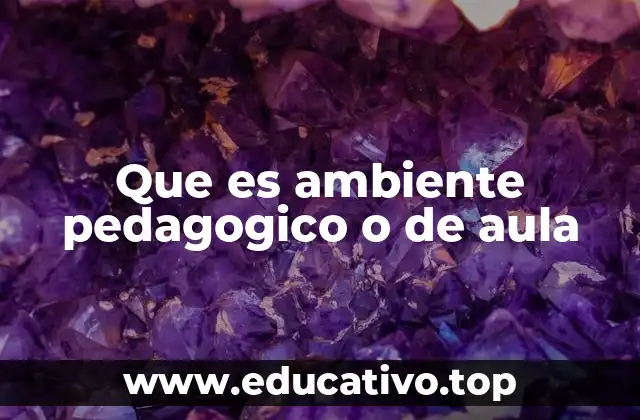 Que es ambiente pedagogico o de aula