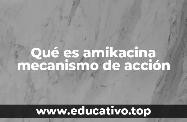 Qué es amikacina mecanismo de acción