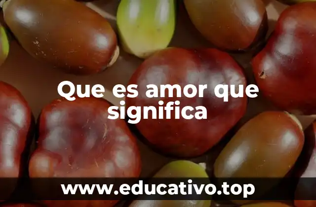 Que es amor que significa