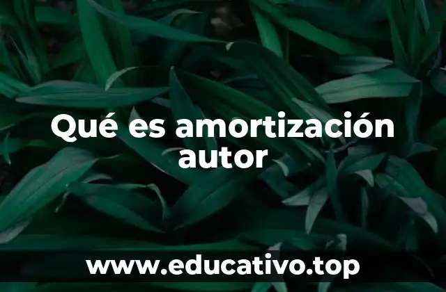 Qué es amortización autor