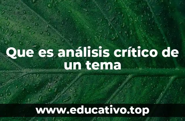 Que es análisis crítico de un tema