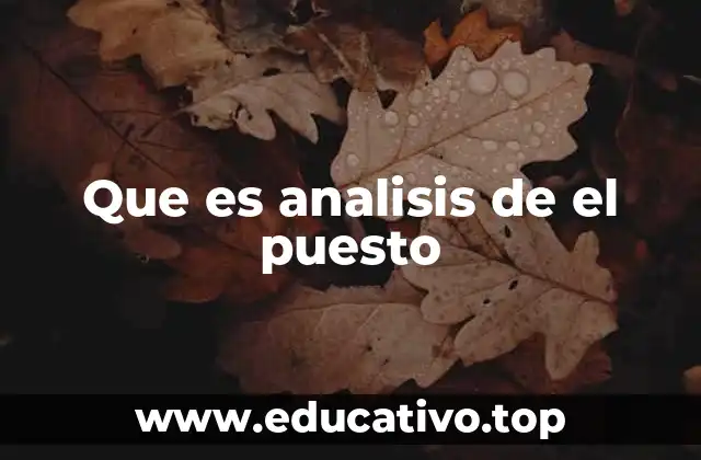 Que es analisis de el puesto