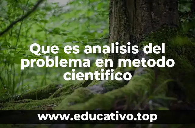 Que es analisis del problema en metodo cientifico