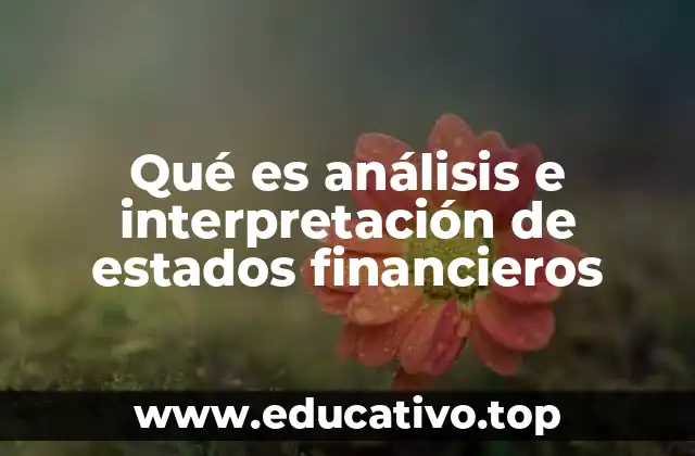 Qué es análisis e interpretación de estados financieros