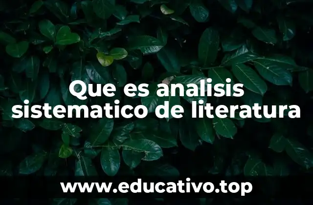 Que es analisis sistematico de literatura