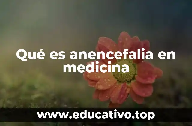 Qué es anencefalia en medicina