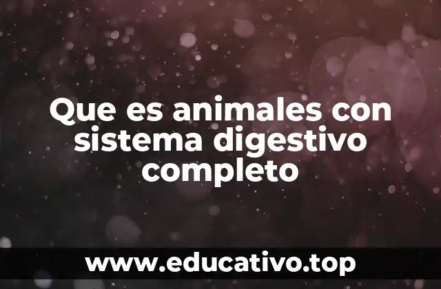 Características del sistema digestivo en el reino animal