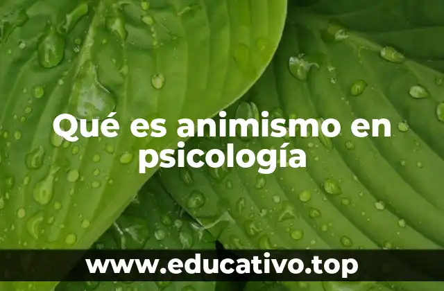 La psicología detrás de la proyección emocional