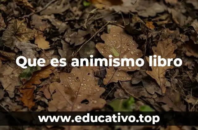 Que es animismo libro