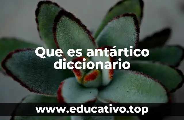Que es antártico diccionario