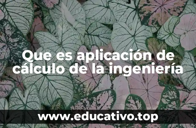 El papel del cálculo en la resolución de problemas ingenieriles