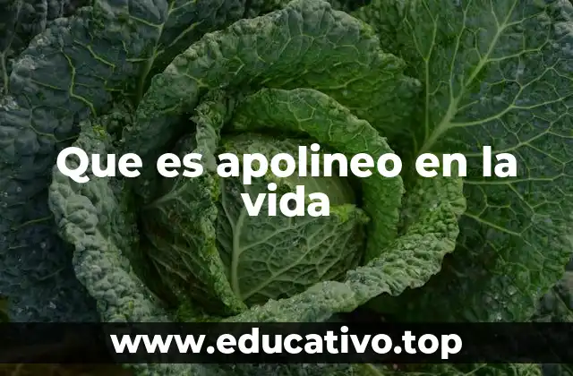 La filosofía detrás de la apolineidad