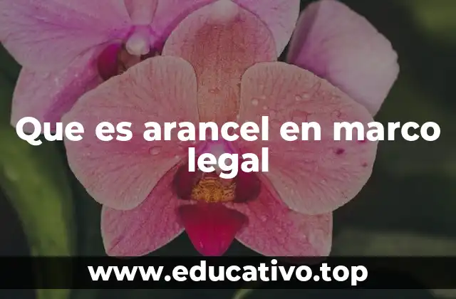 Que es arancel en marco legal