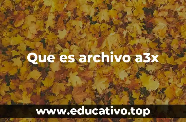Que es archivo a3x