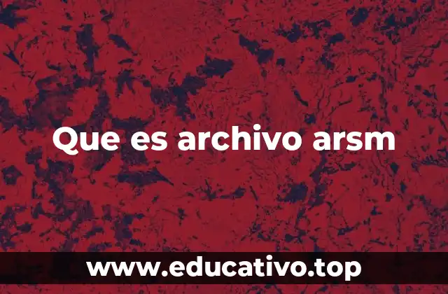 Que es archivo arsm
