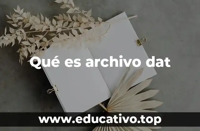 Qué es archivo dat