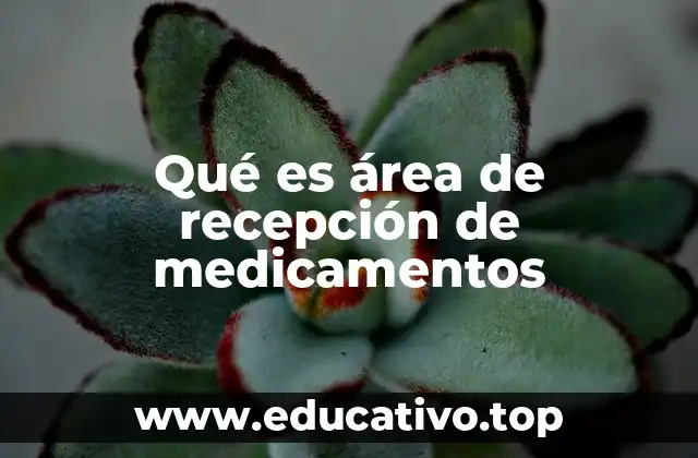 Qué es área de recepción de medicamentos
