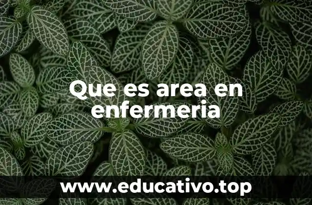 La organización de la enfermería por áreas