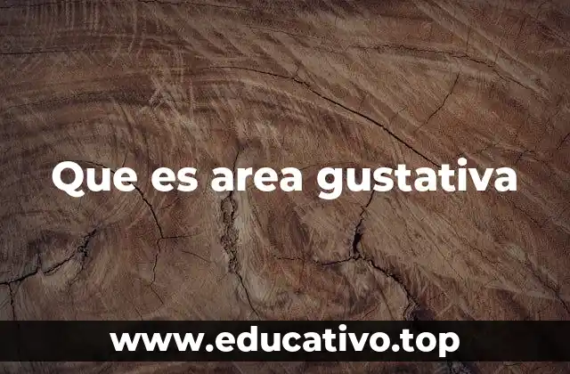 El funcionamiento del sistema sensorial del gusto